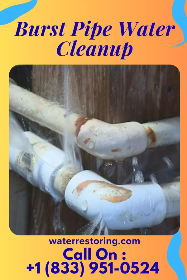 Burst Pipe Water Cleanup in West Canton, NC