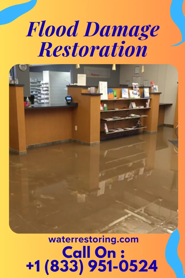 Flood Damage Restoration in West Canton, NC