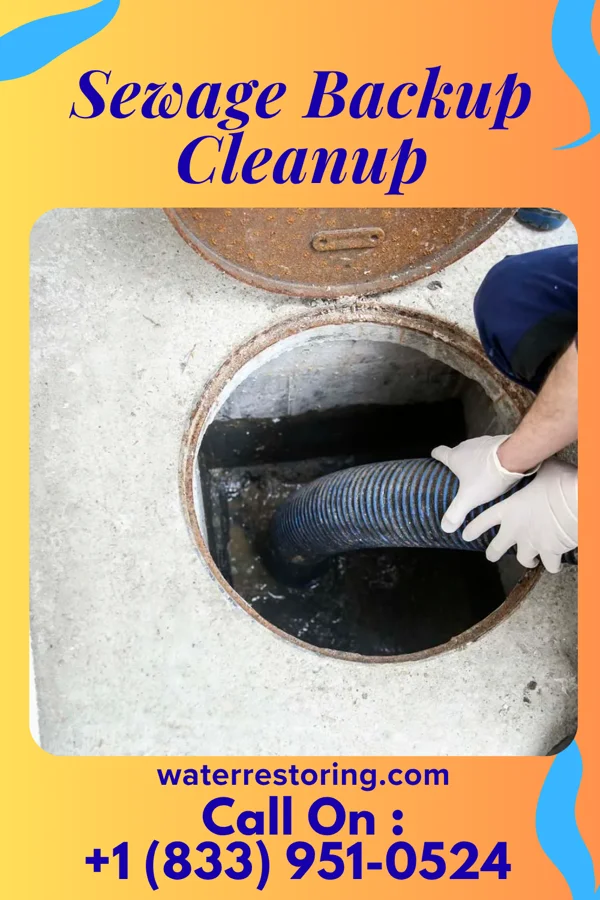 Sewage Backup Cleanup in West Canton, NC