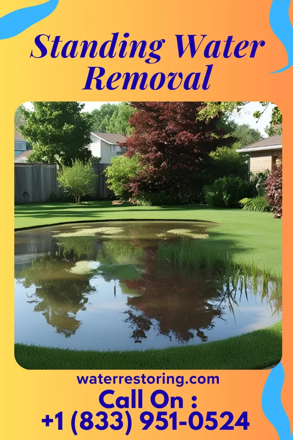 Standing Water Removal in West Canton, NC